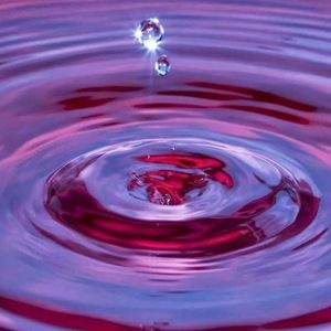 Meet your Posher, Tatyana